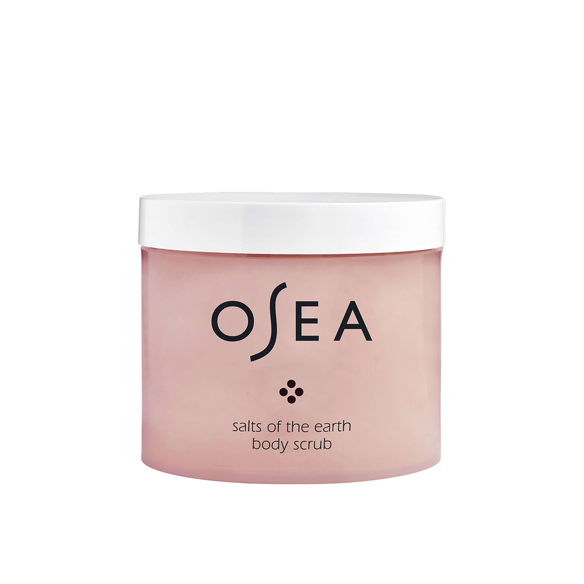 Salts of the Earth Body Scrub