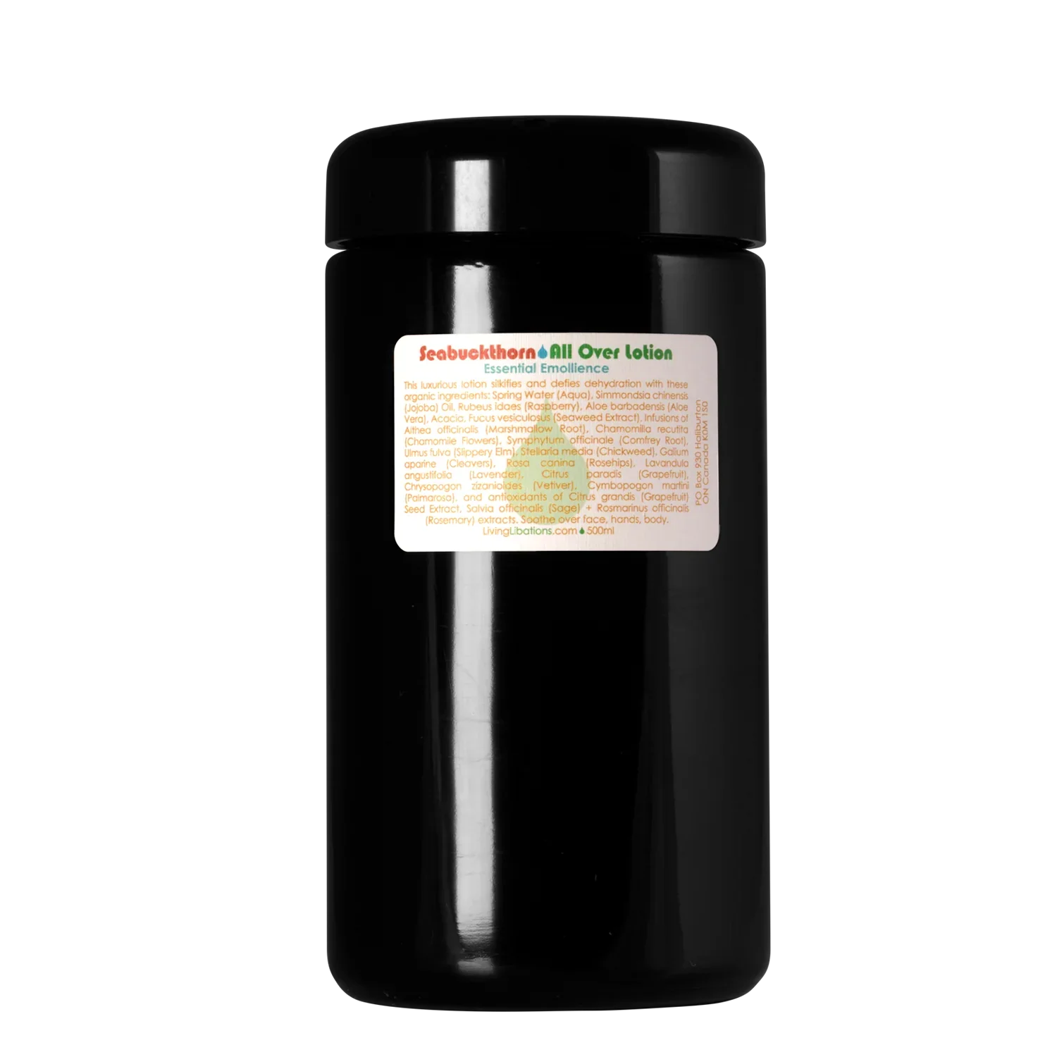 Living Libations | Seabuckthorn All Over Lotion