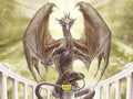 Dragon Shield - 9 Pocket Slipcase Binder: Dragon Art - White